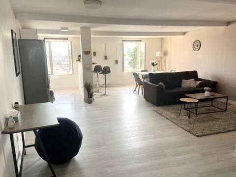Spacious apartment - Anzin