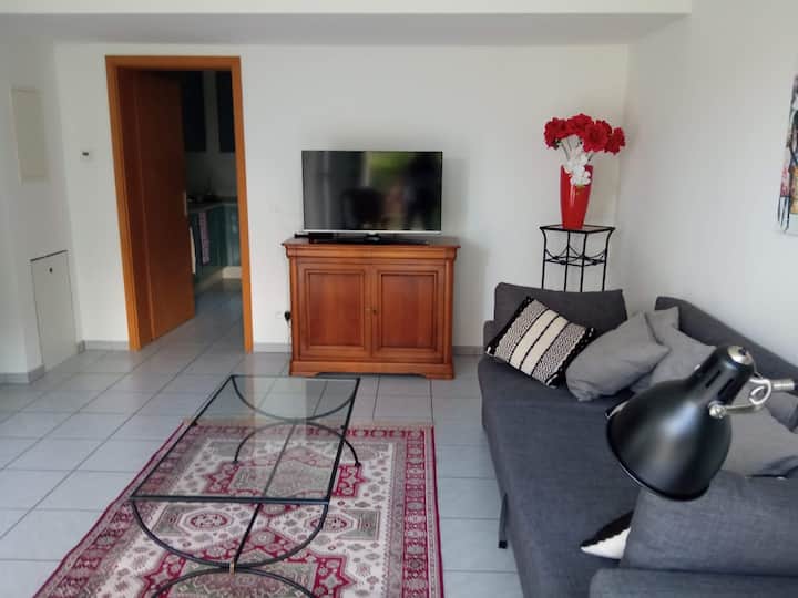 Escale Au Jardin D'horace, F2, 60m² Spacieux - Neuf-Brisach