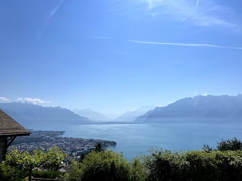 Amazing charm in the heart of Lavaux