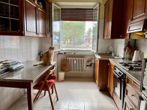 Private room in apartment.