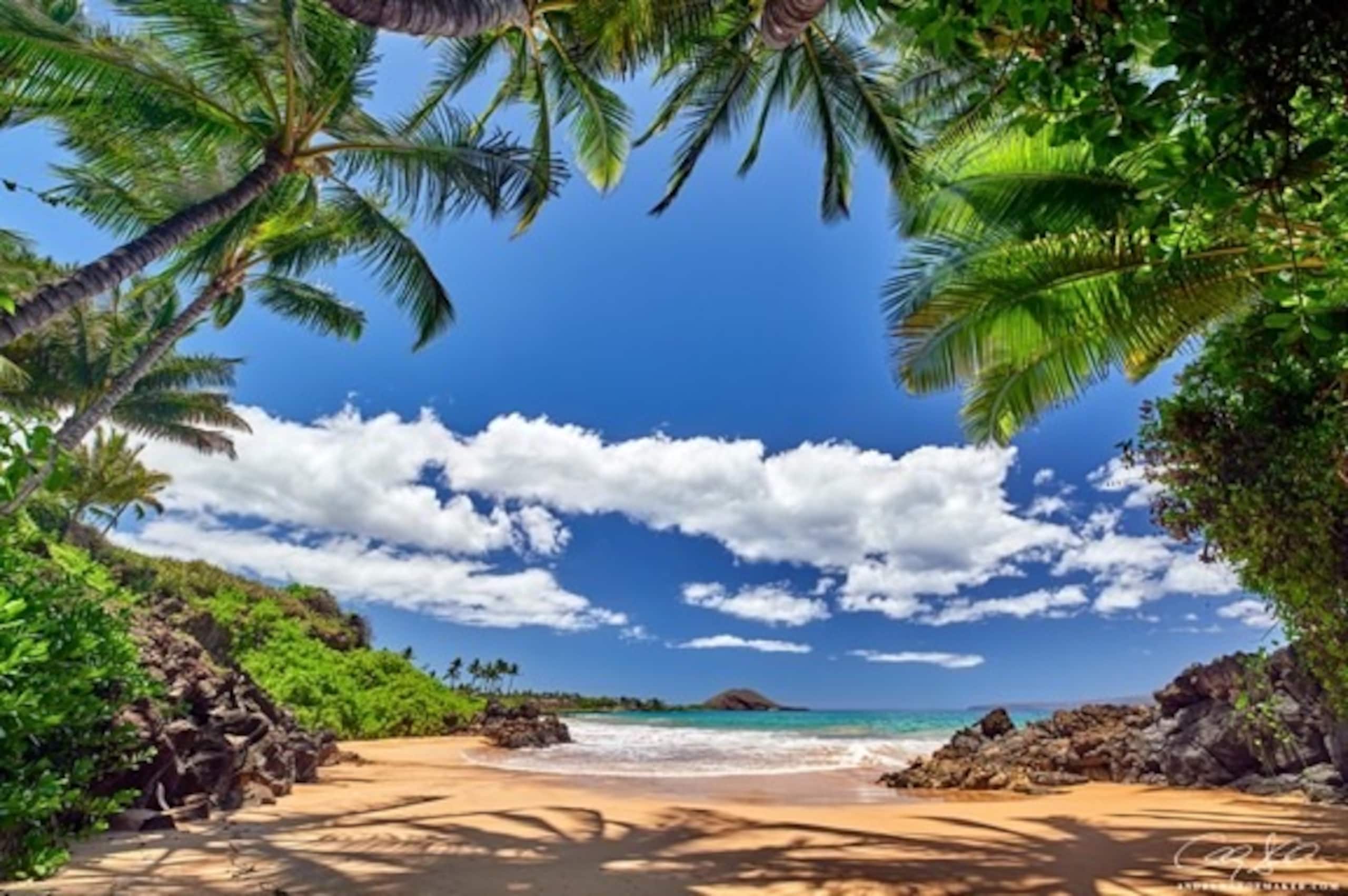 Hotel in Lahaina · ★4.86 · 1 bedroom · 2 beds · 1 shared bath - Image 1