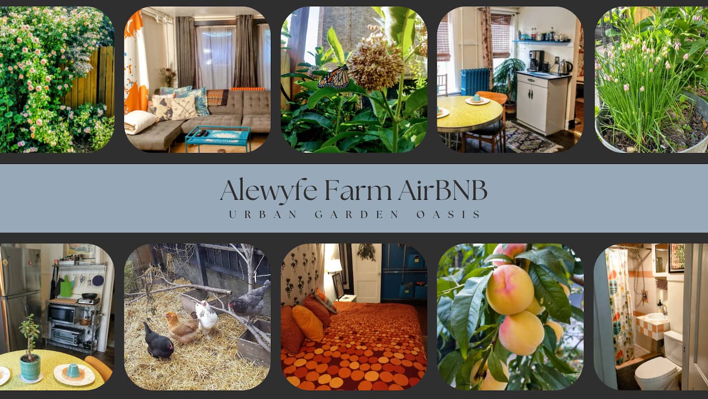 Alewyfe Farm Urban Garden Oasis- Free Parking!