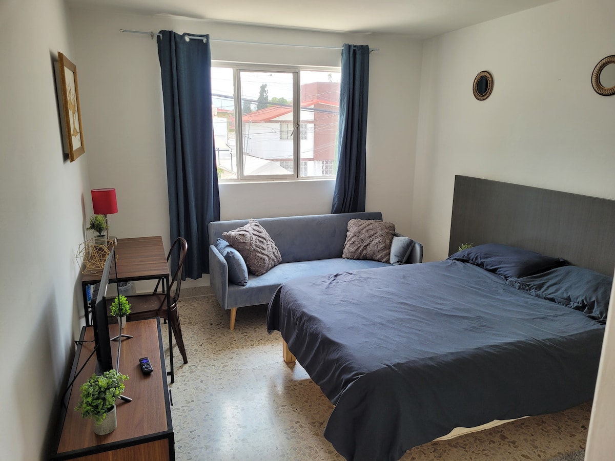 A welcoming room features a spacious bed dressed in dark linens and a soft sofa positioned nearby. A small desk with a chair and decorative plants is visible, along with a large window dressed with dark curtains, allowing natural light to brighten the space.