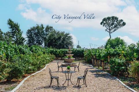 Lux 3BR with Stunning Vineyard View near ONT