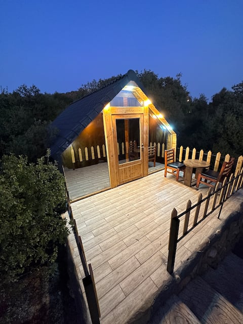 Nature Forest Cabin