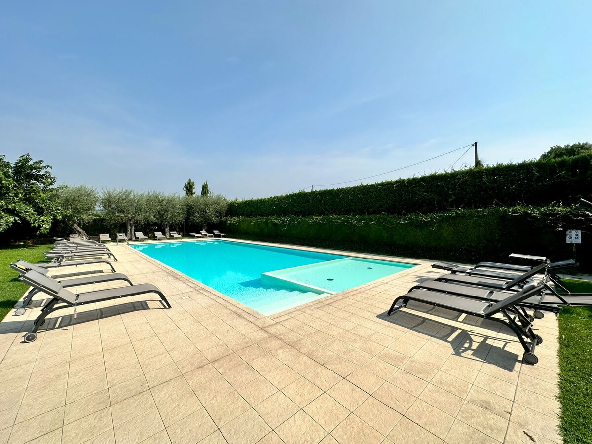 A spacious pool area is surrounded by neatly trimmed hedges and olive trees. Multiple loungers are arranged around the pool deck, offering ample seating. The serene water of the rectangular pool reflects the clear blue sky, creating a calming environment for relaxation.