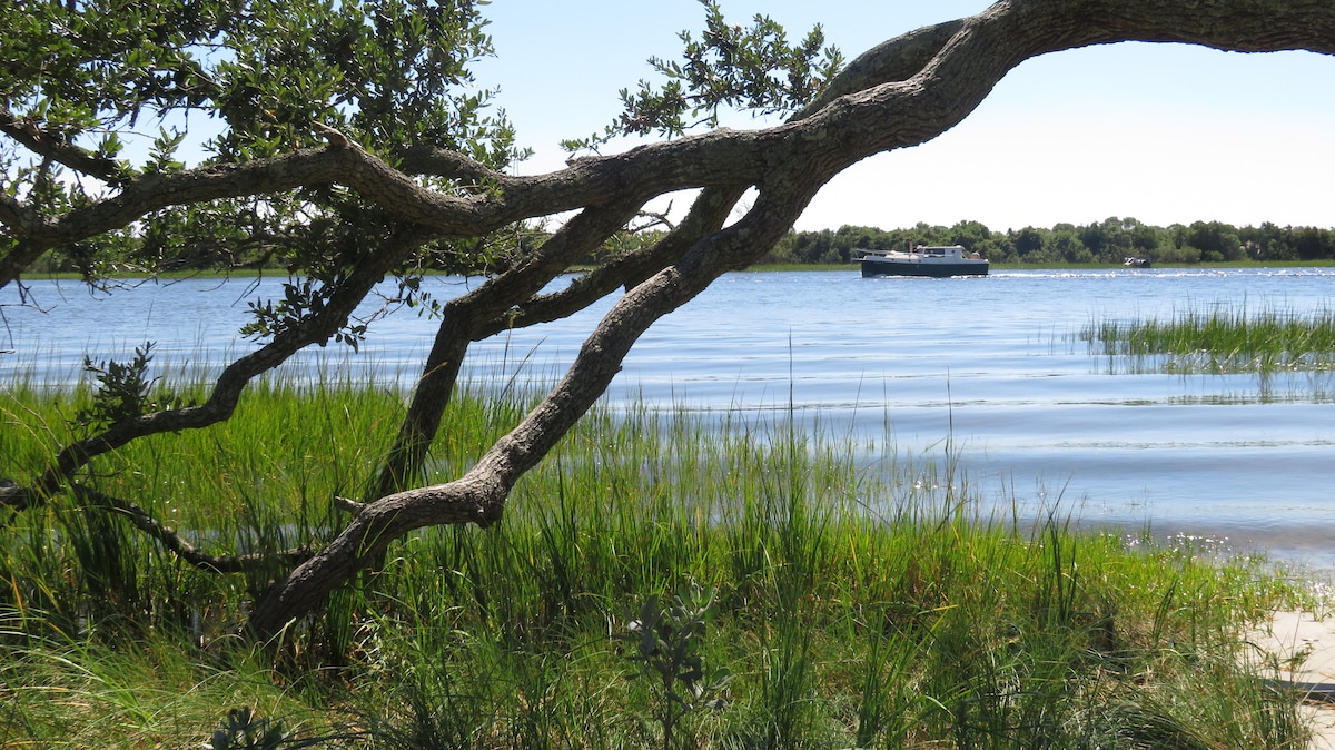 A scenic view of a tranquil waterway is framed by an overhanging tree branch. Lush green grasses border the water's edge, while the soft ripples of the water reflect the clear blue sky. A boat can be seen gently navigating the calm waters in the distance.