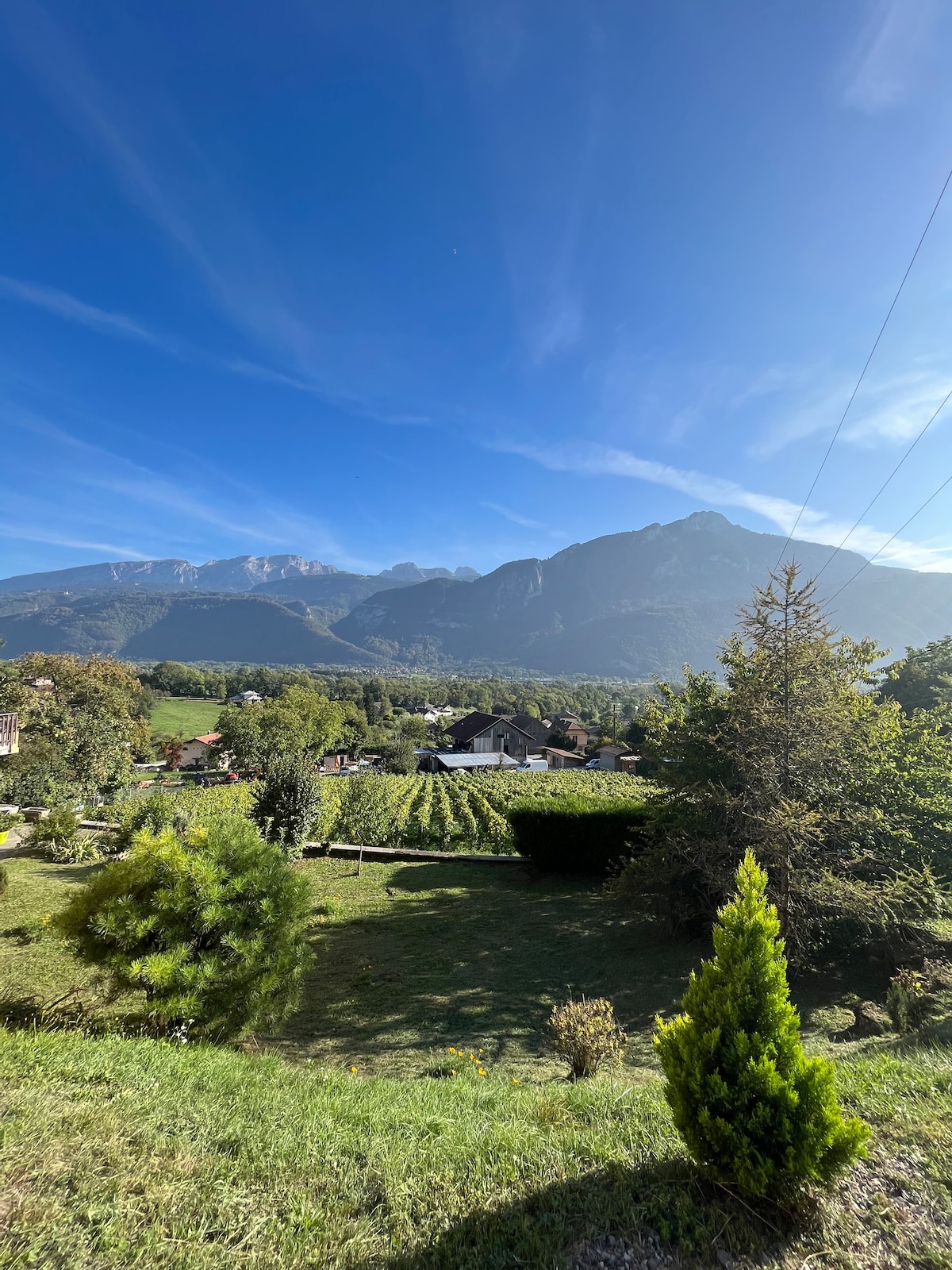 A panoramic view is presented, showcasing the lush greenery of the surrounding landscape and the majestic mountains in the background. Clear blue skies complement the picturesque setting, while an array of trees and shrubs add depth to the natural scenery.