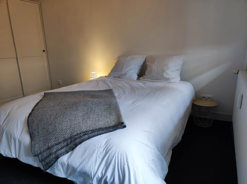 Propriété Airbnb réussie: Charming 3-room apartment à Koenigshoffen