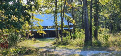 Beautiful cabin in the woods, Clifty Hilltop Haven