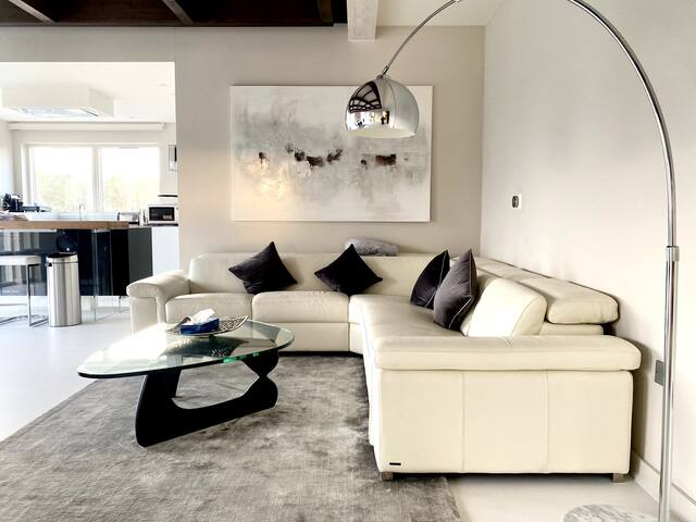 Luxury and Beautiful Spacious Penthouse