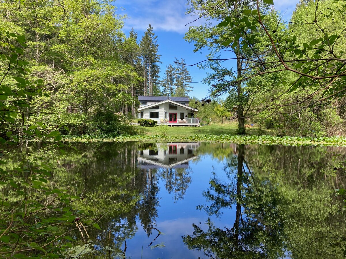 The house is viewed from across the tranquil pond, reflecting its modern architecture and surrounding greenery. Trees line the shore, and lily pads float gently on the water's surface, creating a peaceful atmosphere amidst nature.