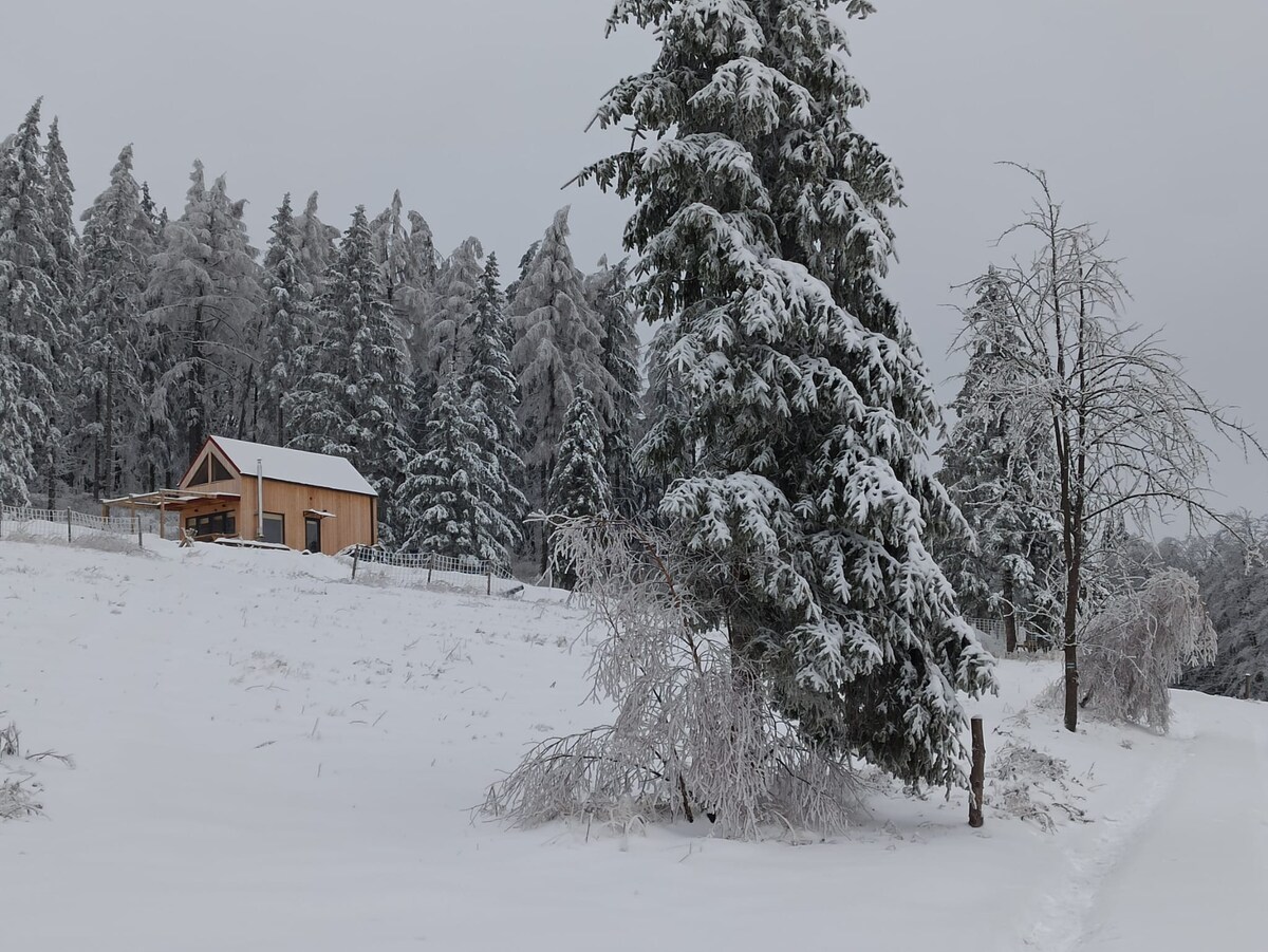 A charming cabin is nestled in a snowy landscape, surrounded by tall, snow-covered evergreen trees. The scene is tranquil, with a soft layer of snow blanketing the ground and branches, creating a serene winter atmosphere.