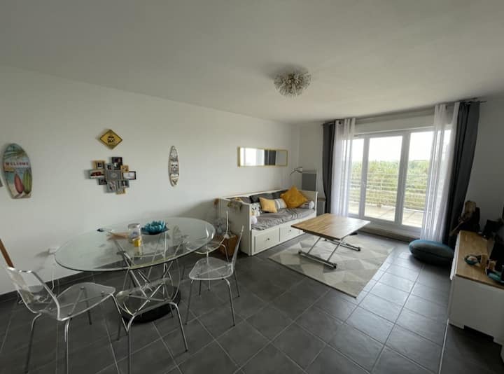 Magnifique T3 Bord De Mer, Vue Ocean, Wifi,parking - Biscarrosse