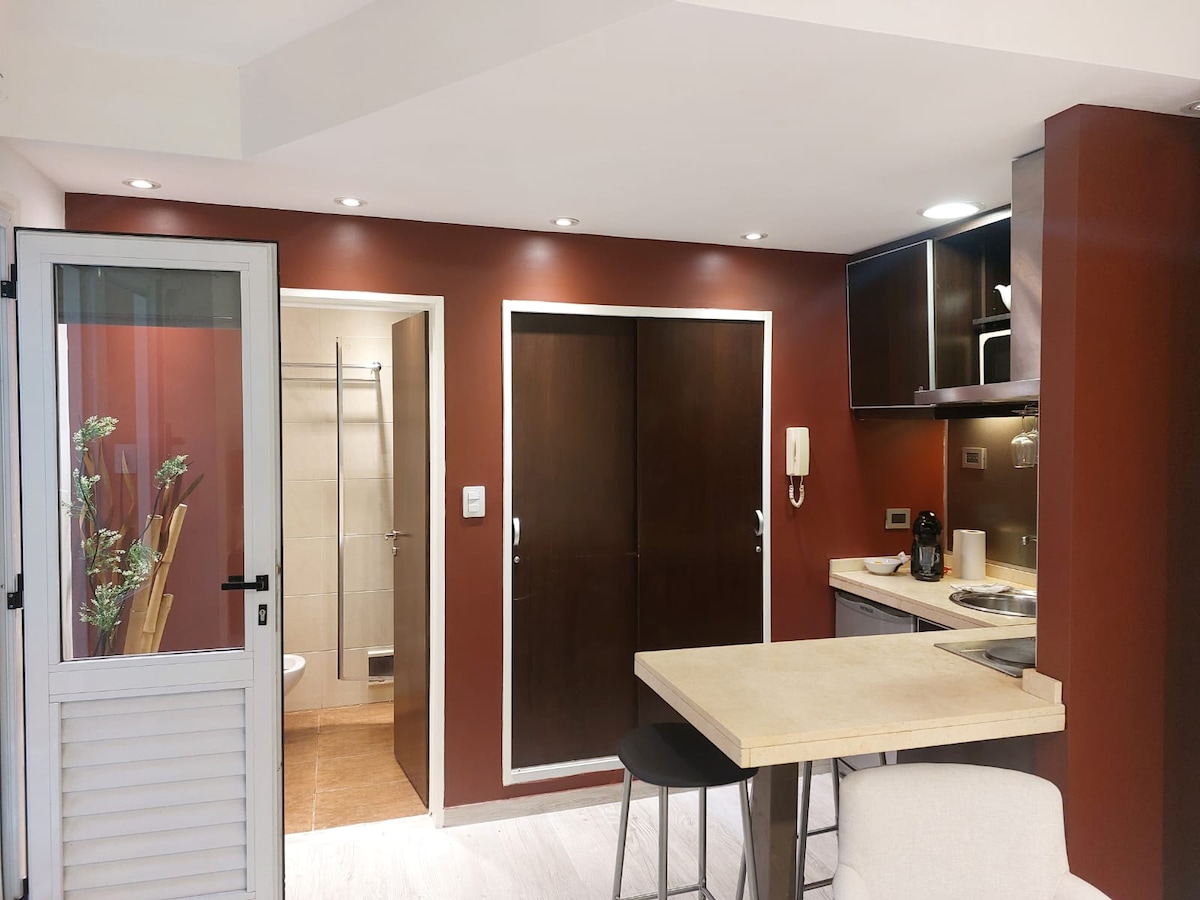 Departamento de 1 dormitorio en Palermo
