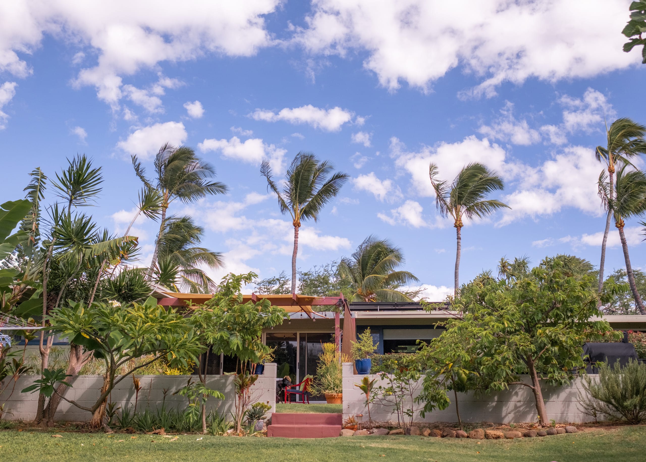 Home in Paia · ★4.89 · 3 bedrooms · 4 beds · 2 baths - Photo 26
