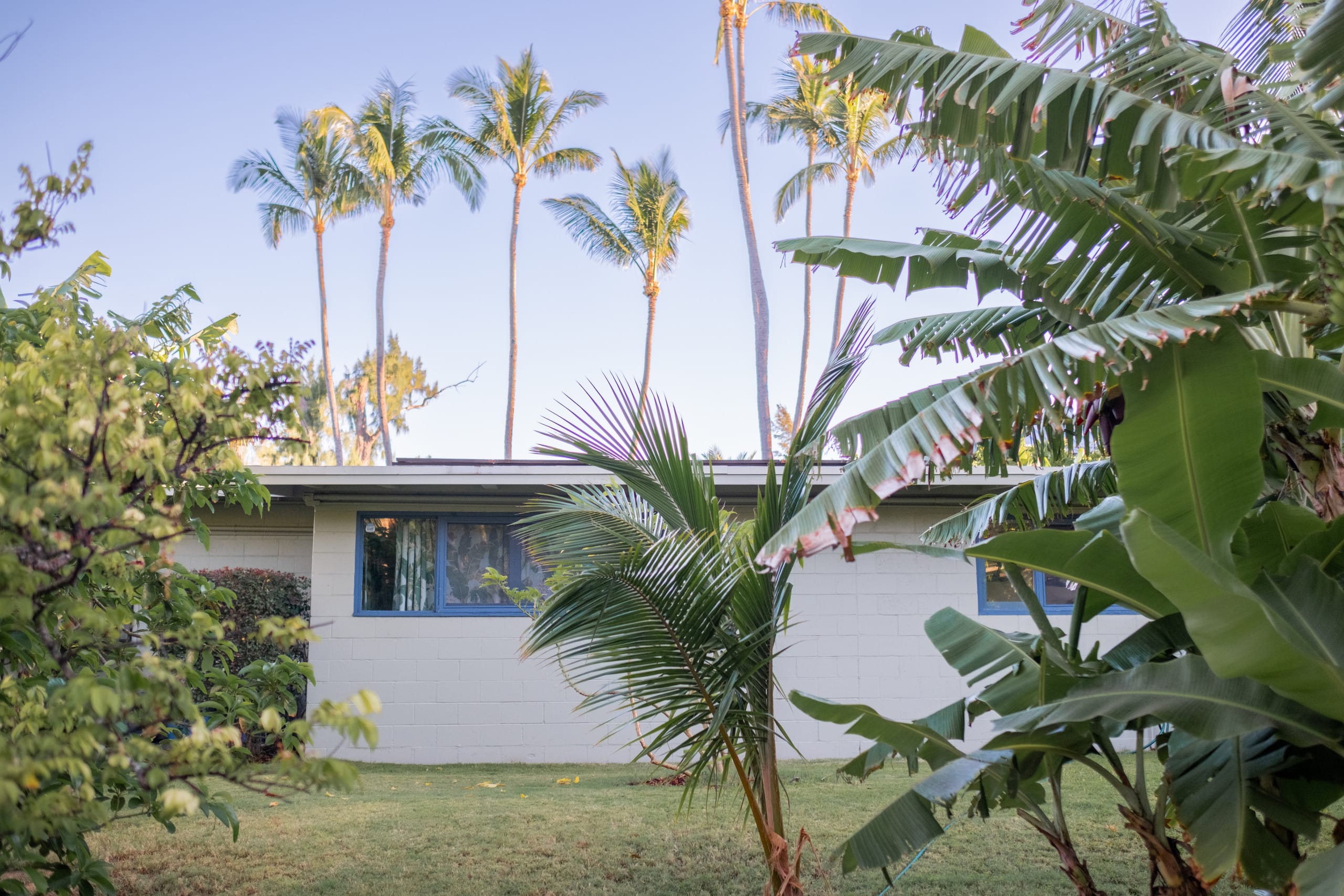 Home in Paia · ★4.89 · 3 bedrooms · 4 beds · 2 baths - Photo 27