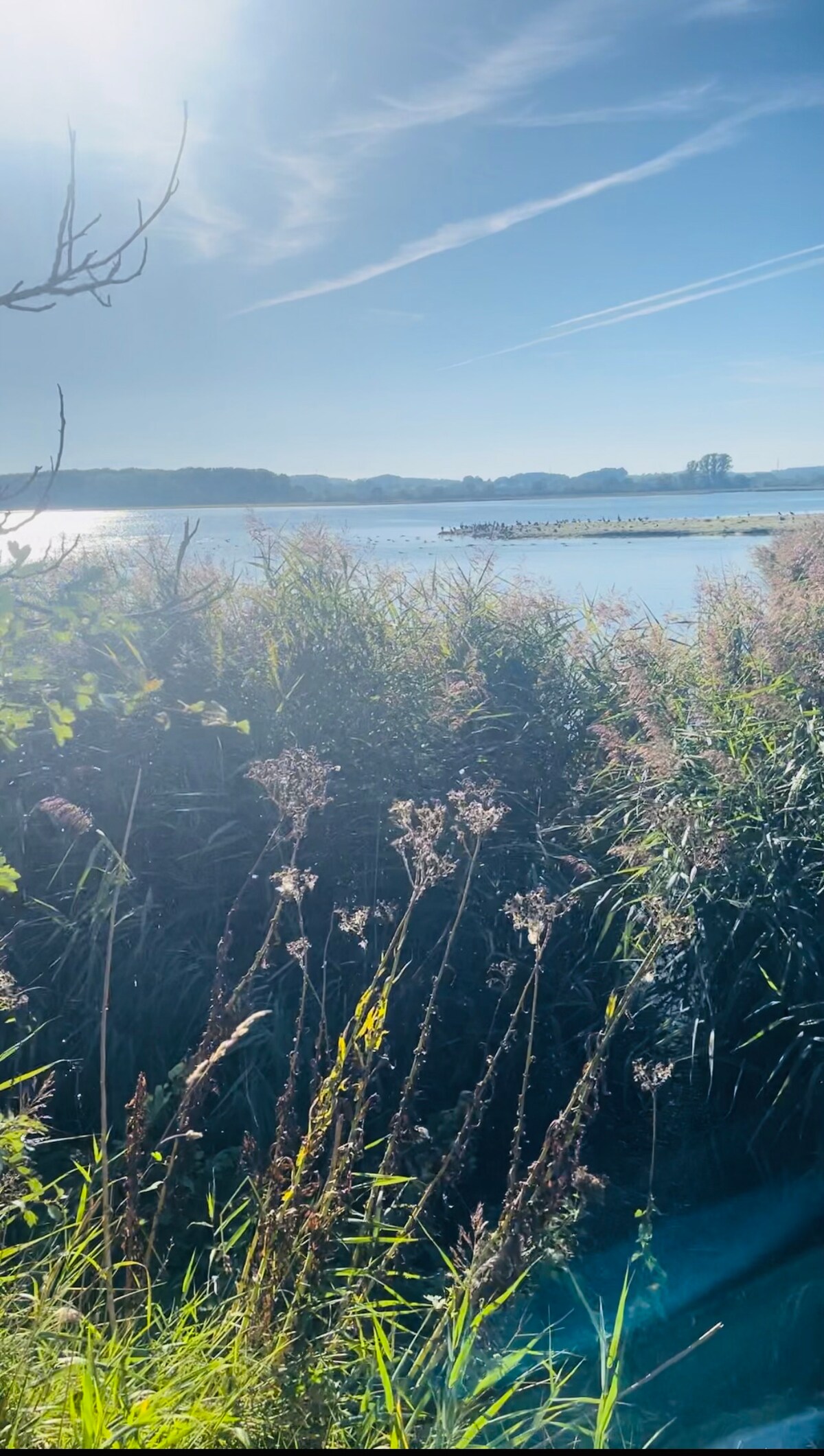 Annonce Airbnb populaire: Cozy old town apartment à Neustadt In Holstein