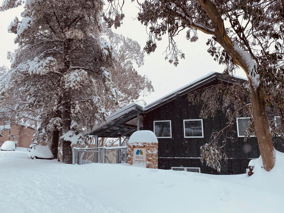 A modern building is partially obscured by a thick layer of snow, surrounded by tall snow-covered trees. A stone sign stands at the entrance, and a dusting of snow covers parked vehicles nearby.