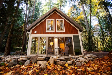 Enchanted Forest Cottage