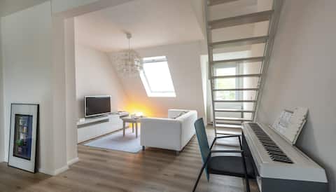 Bright DG apartment on two levels