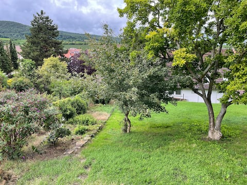 Relaxation in a wine town