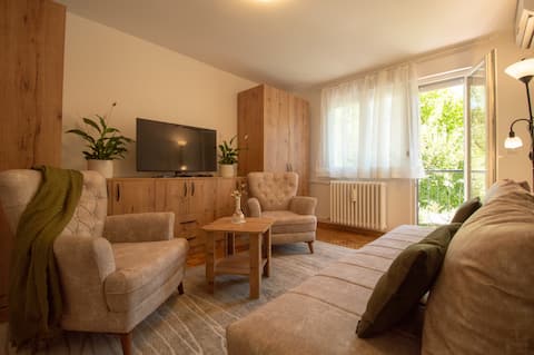 Top performing Airbnb: Family spacious apartment "Green Oasis" in Јужнобачки