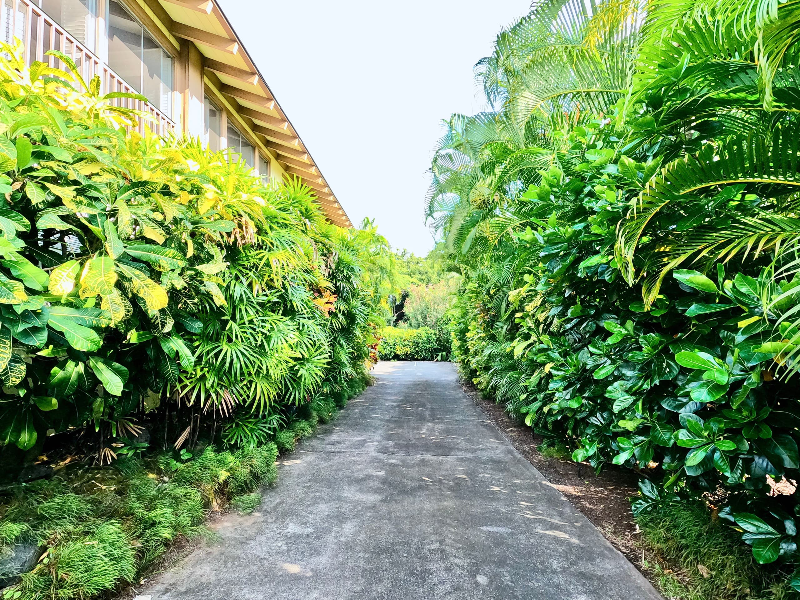 Condo in Kailua-Kona · ★4.77 · 1 bedroom · 1 bed · 1 bath - Image 19