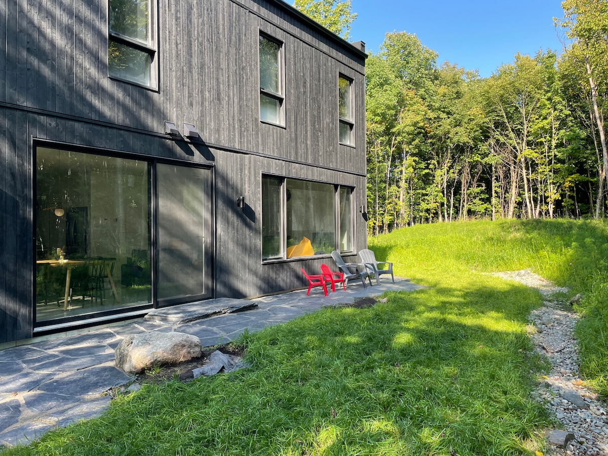 The exterior of the chalet features a modern black wood facade, complemented by large windows. A stone patio is visible, with several chairs positioned among lush green grass, providing a serene outdoor seating area near the surrounding trees.