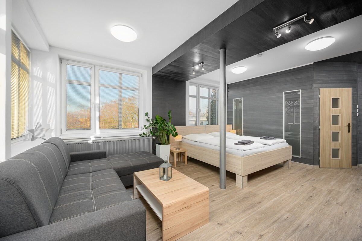 A spacious area is showcased, featuring a light wood bed positioned against a dark wall. A gray couch and minimalist wooden coffee table are visible, with large windows allowing natural light to illuminate the space. A modern en-suite bathroom is partially seen in the background.