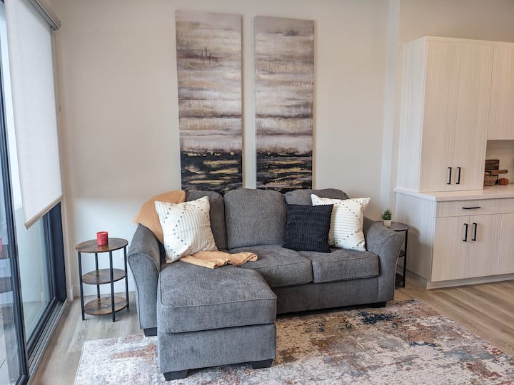 Luxury Condo w/King bedroom Ensuite Apartments for Rent in Manhattan