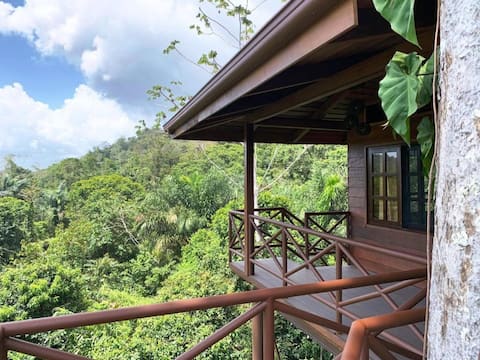 Tree House 1 Queen 1 Twinn