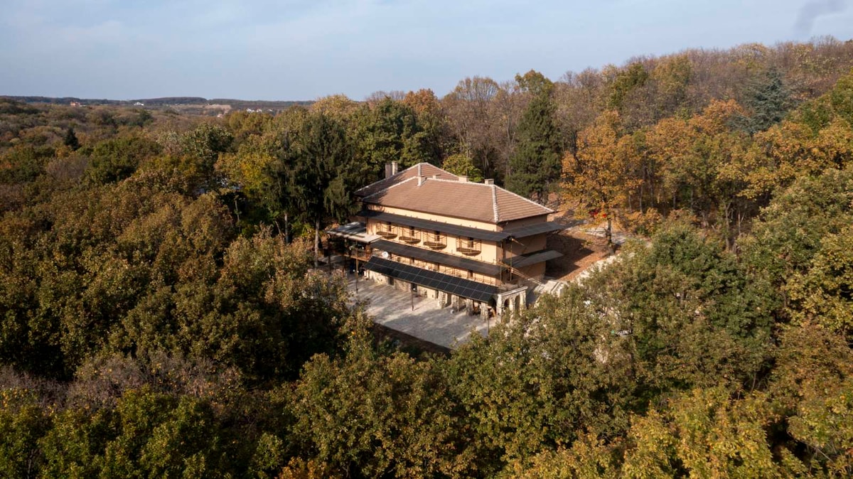An aerial view showcases a spacious cabin nestled among vibrant autumn foliage, highlighting the natural beauty of the surrounding forest. The structure features a large terrace that blends with the landscape, providing an inviting outdoor space.