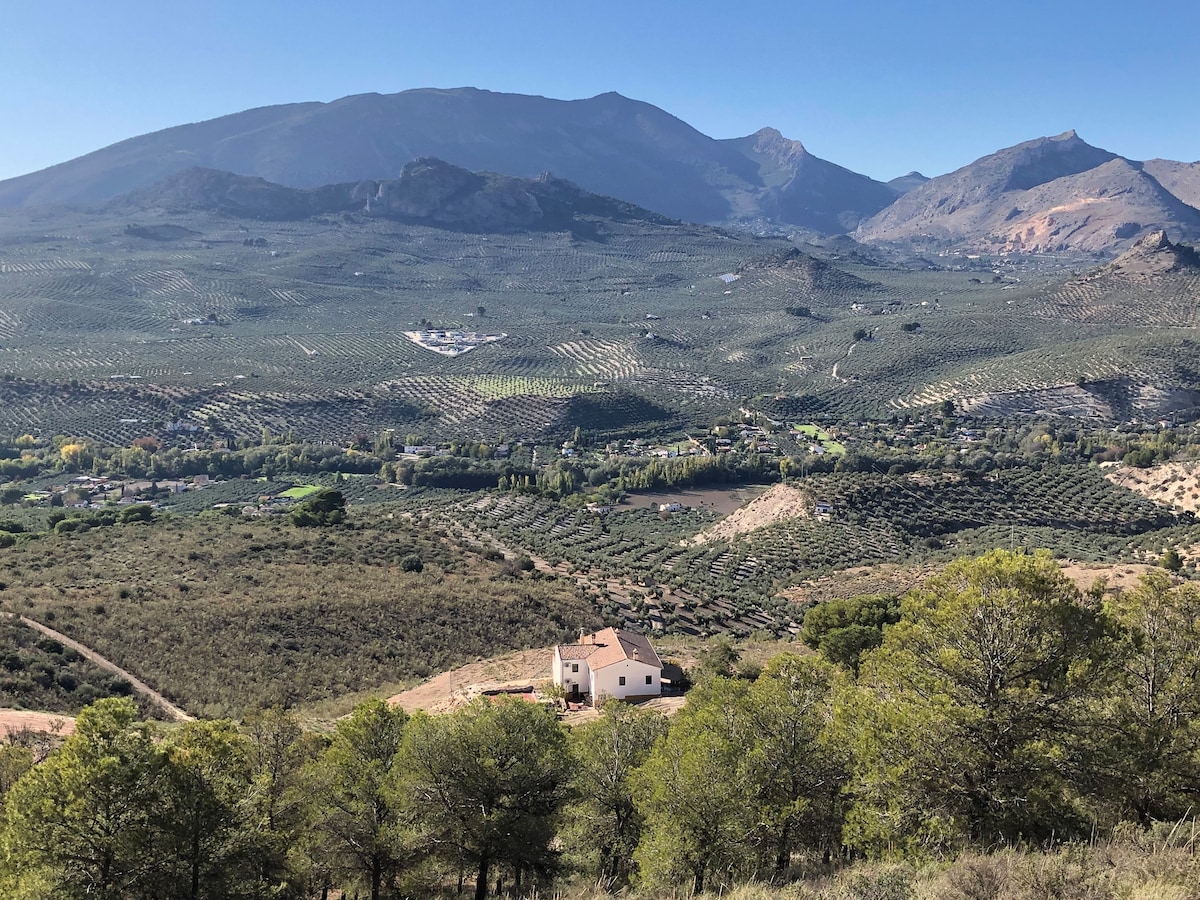 A distant view of a stone house surrounded by expansive olive groves on a rural landscape. Majestic mountains rise in the background under a clear blue sky, enhancing the serene natural setting.