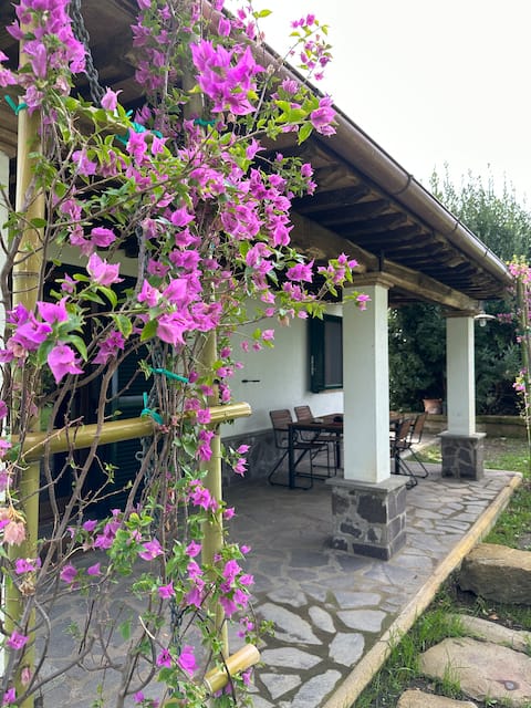 Agriturismo Iride: private suite