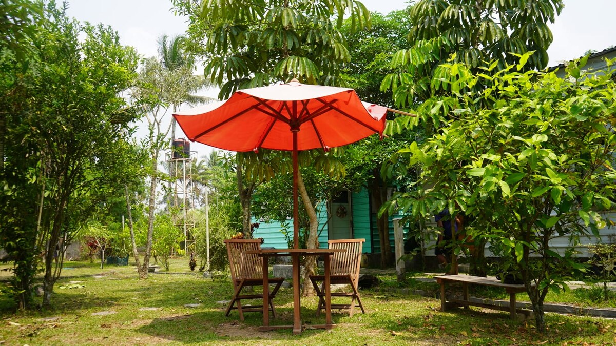 A shaded outdoor dining area is furnished with a round table and two wooden chairs beneath a vibrant orange umbrella. Lush greenery surrounds the space, adding to the natural ambiance, while various plants and trees are visible in the background.