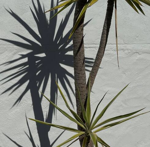 renovated House with Pool gallery image 4