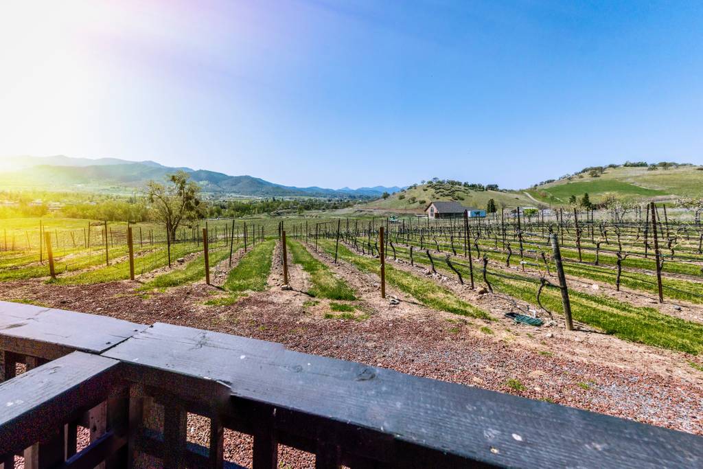 Vast vineyard rows stretch across the landscape, framed by distant rolling hills under a clear blue sky. A wooden railing marks the foreground, providing a serene view of the lush greenery and inviting sunlight illuminating the scene.