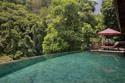 Two Bedroom Valley Pool Villa