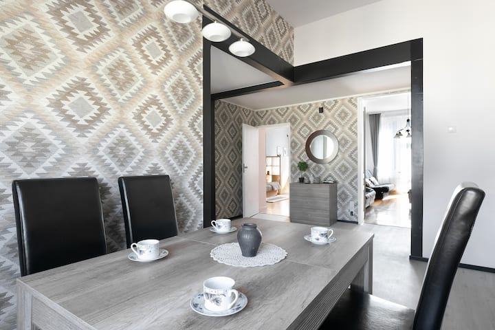 Large Apartment Next To Main Station - 85 M2 - Cracovie