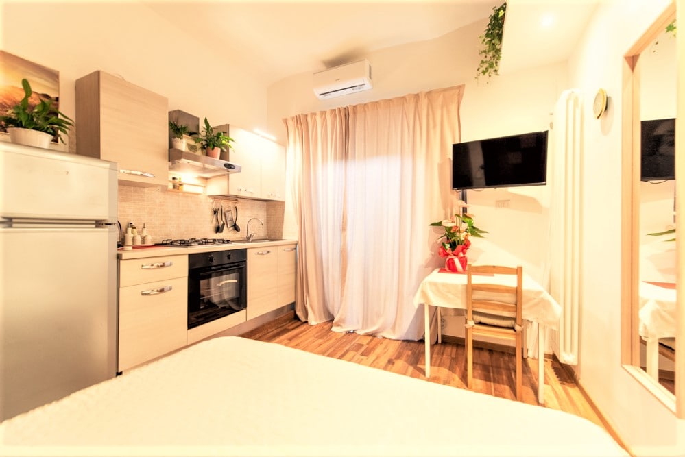 A compact kitchen area is paired with a dining space, featuring a small table and a chair. Natural light is softly diffused through sheer curtains. Green plants are present on various surfaces, adding a touch of nature to the environment. An air conditioning unit and a TV are mounted on the wall.