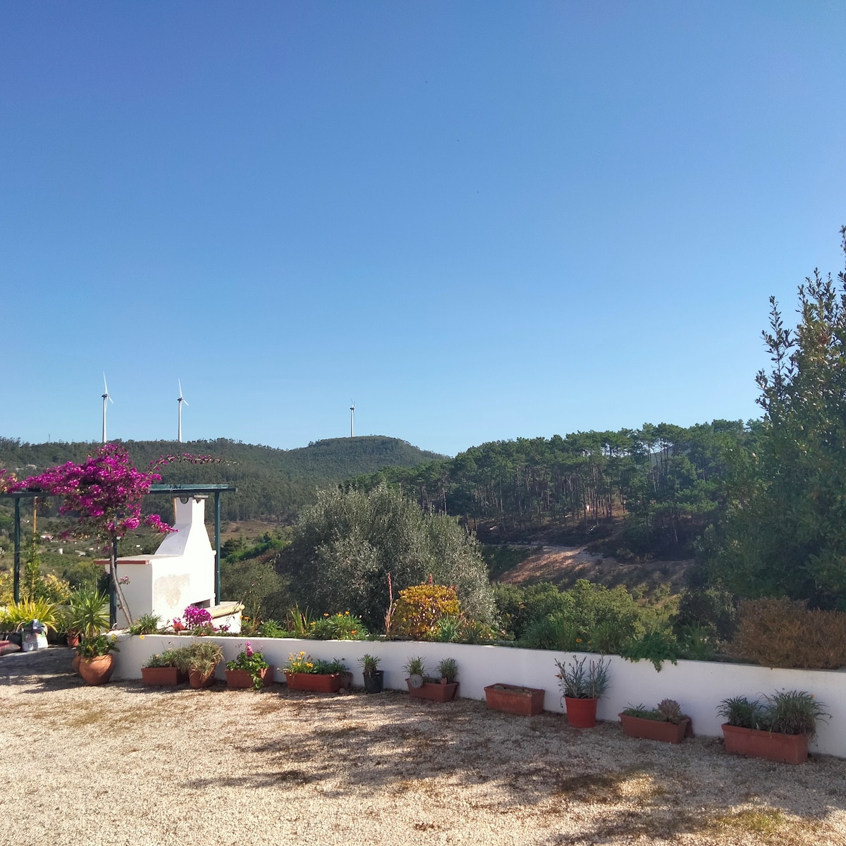 A serene outdoor area features a gravel pathway lined with potted plants, including colorful flowers and greenery. In the background, rolling hills are visible under a clear blue sky, with wind turbines standing among the trees, enhancing the natural landscape.