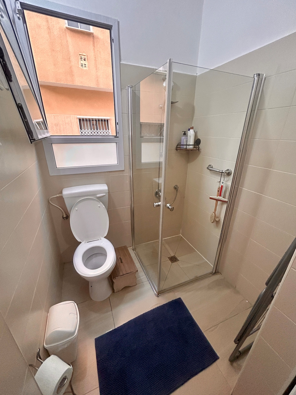 A modern bathroom is presented, featuring a glass-enclosed shower and a toilet. Light enters through a window, illuminating the light-colored tiles. A dark mat, shampoo, and toiletries are visible on a wall-mounted shelf, enhancing the practical design of the space.