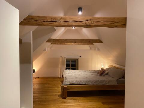 Renovated home in nature