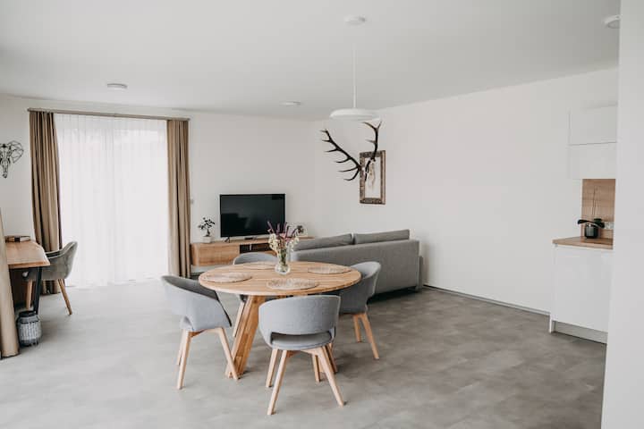 Apartmán ÚStí - Hranice