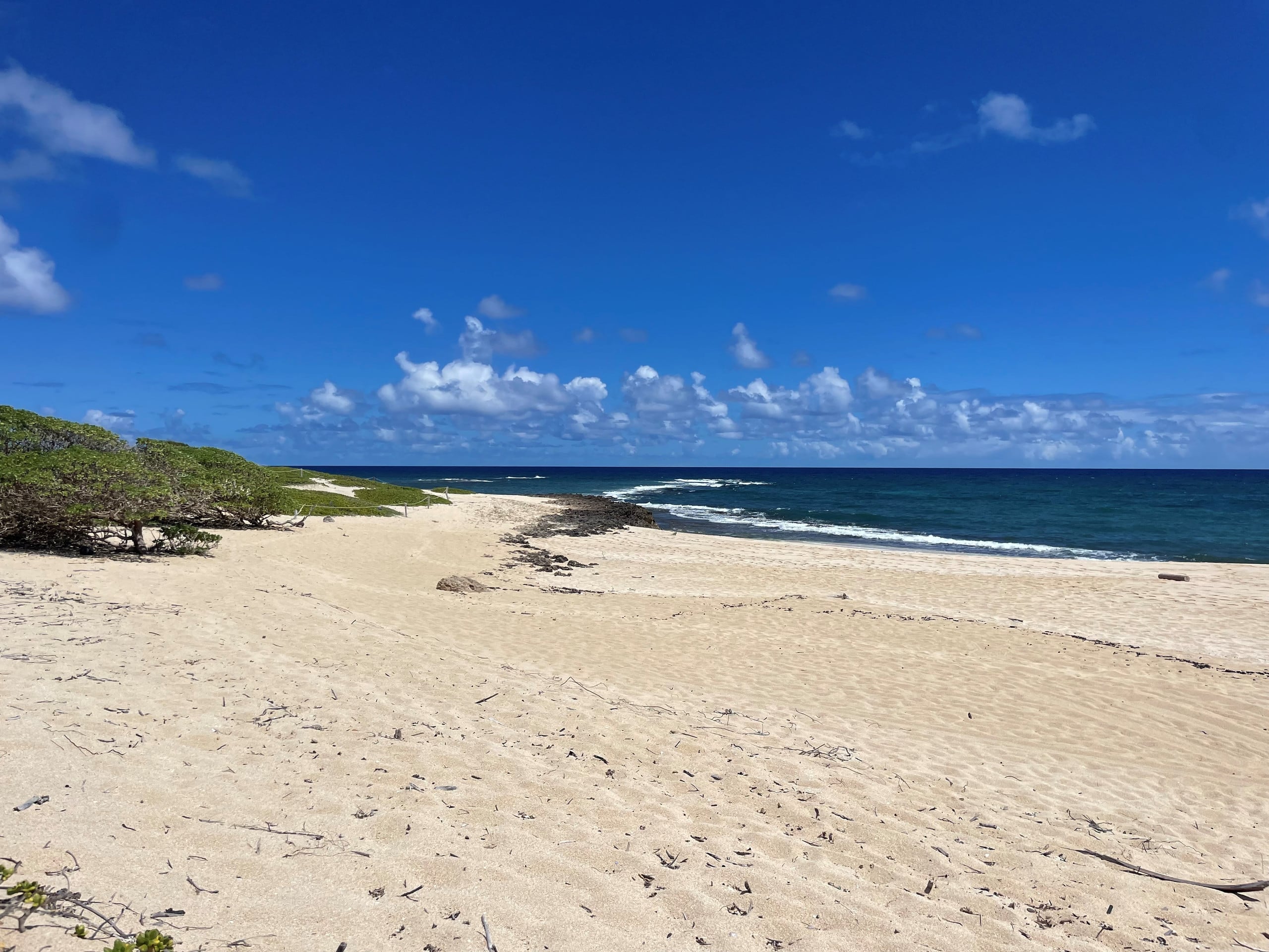 Condo in Kahuku · ★4.9 · 3 bedrooms · 5 beds · 2 baths - Image 8