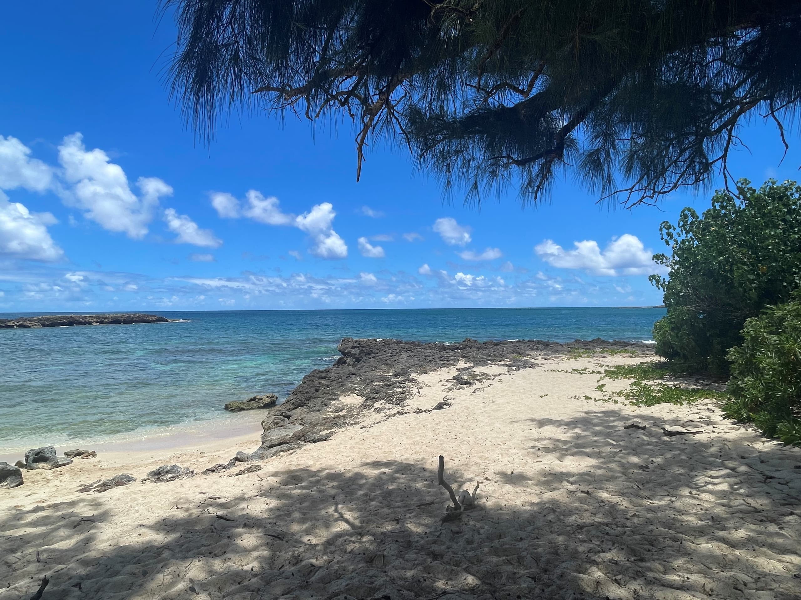 Condo in Kahuku · ★4.9 · 3 bedrooms · 5 beds · 2 baths - Image 6
