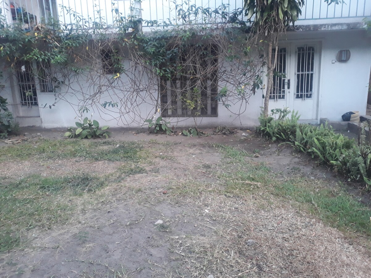 A grassy area is bordered by a wall with climbing plants and a few ferns lining the edges. Two doors with bars provide access to the interior, while a concrete path runs beside the garden, leading to an inviting outdoor space.