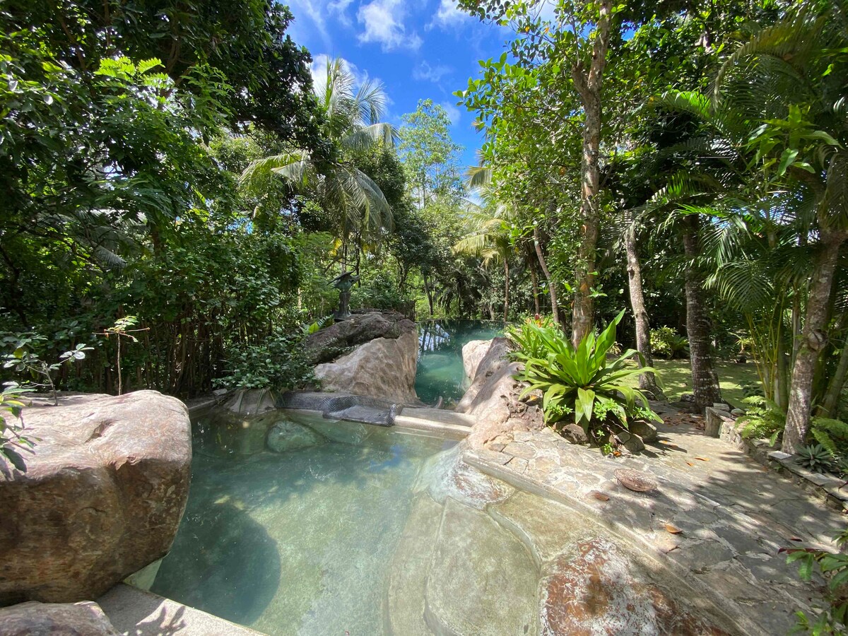 A natural rock swimming pool is surrounded by lush greenery and tropical plants. The clear water reflects the blue sky, with smooth stone formations leading into the pool, creating a serene oasis perfect for relaxation.