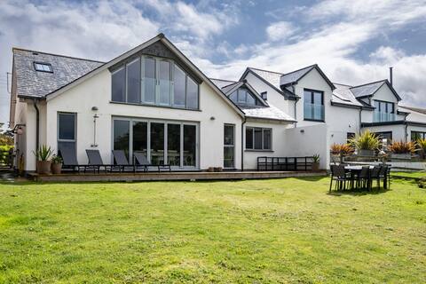 Rock Pipit - Polzeath